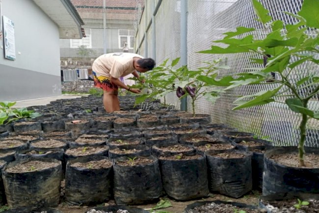 Cegah Gangguan Kamtib, Lapas Tanjungpandan Hijaukan Blok Hunian