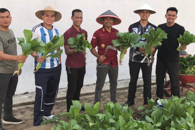 Lapas Cilacap Panen 200 Kg Caisim, Bukti Keberhasilan Pembinaan di Lapas