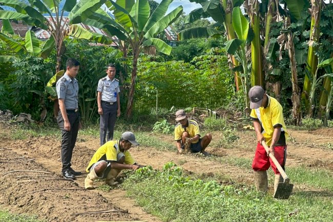 Program Kemandirian, Lapas Tolitoli Ajak Warga Binaan Bertani