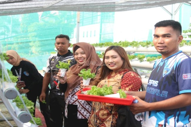 Kalapas Kolonodale Ajak Tim Monev Kanwil Sulteng Panen Sayuran Hidroponik