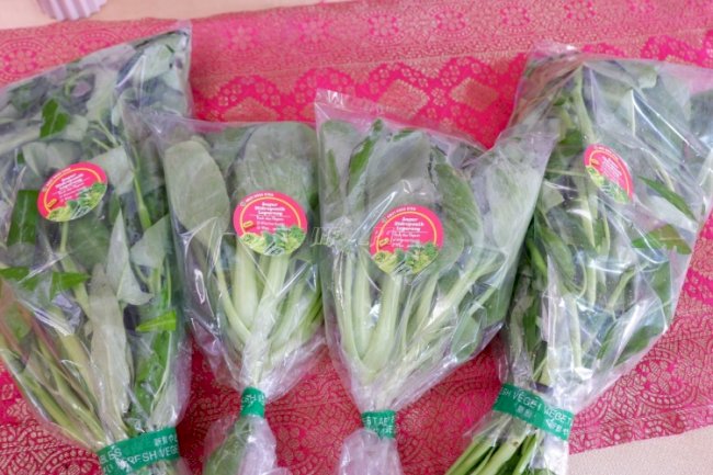  Lapas Perempuan Palembang Panen Kangkung dan Pakcoy Hasil Budidaya Hidroponik