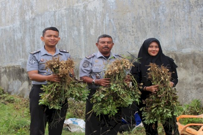 Lapas Perempuan Sigli Panen Kacang Tanah Hasil Budidaya Warga Binaan