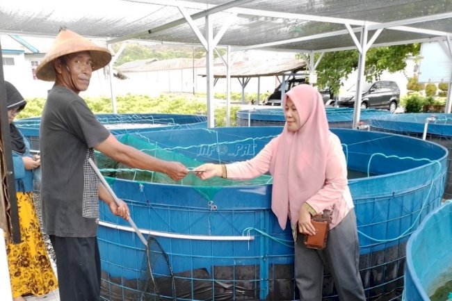 Lapas Namlea Kembali Pasarkan Hasil Budidaya Ikan Nila Sistem Bioflok