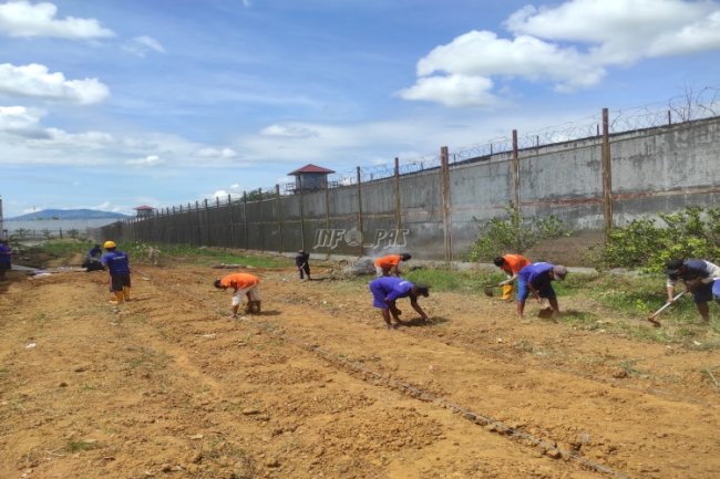 Lapas Banjarbaru Olah Lahan Tidur Jadi Sentra Buah-buahan