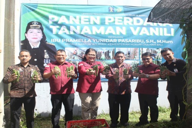 Panen Budidaya Vanili di Lapas Narkotika Bangli Tuai Pujian Kakanwil Kemenkumham Bali