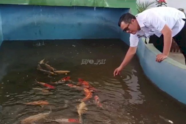 Lapas Pangkalpinang Inisiasi Program Pemijahan Ikan Koi