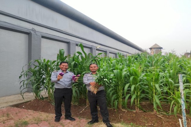  Urban Farming di Lapas Cipinang, Kontribusi Nyata untuk Go Green dan Kelestarian Lingkungan