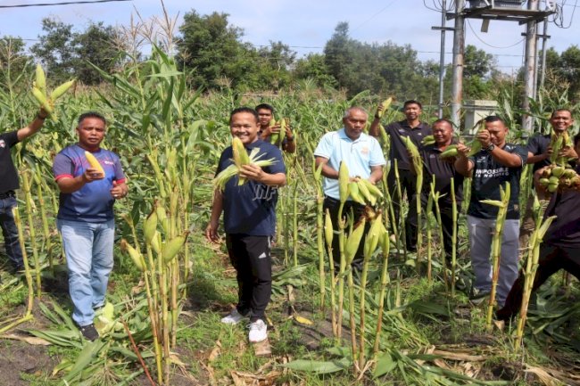 Lapas Palangka Raya Panen Perdana Jagung di Lahan SAE