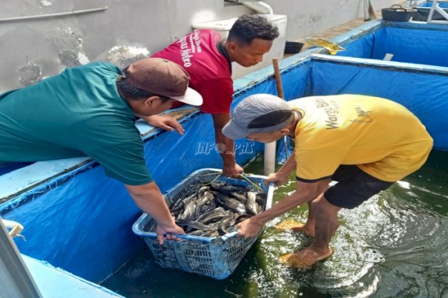 Dukung Program Ketahanan Pangan, Lapas Metro Terus Kembangkan Pembinaan Kemandirian Warga Binaan