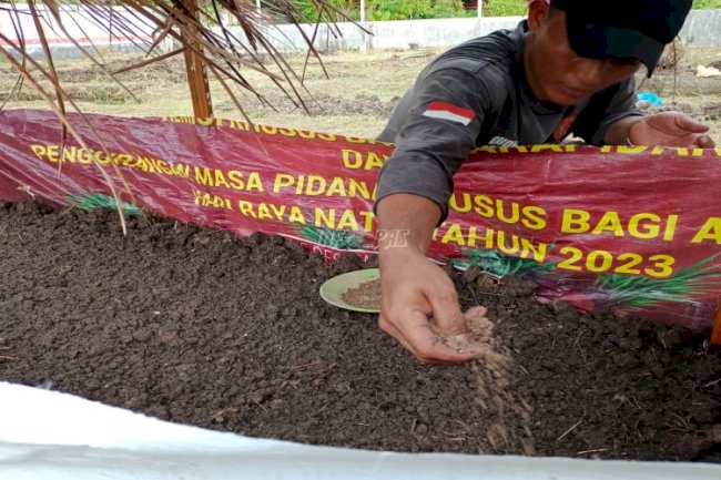 Tanam Bayam dan Cabai, Lapas Labuhan Bilik Dukung Program Ketahanan Pangan