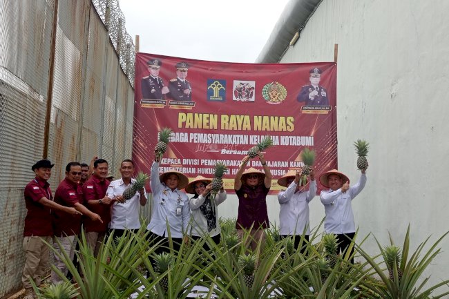 Wujudkan Akselerasi Ketahanan Pangan Nasional, Lapas Kotabumi Panen Raya Nanas