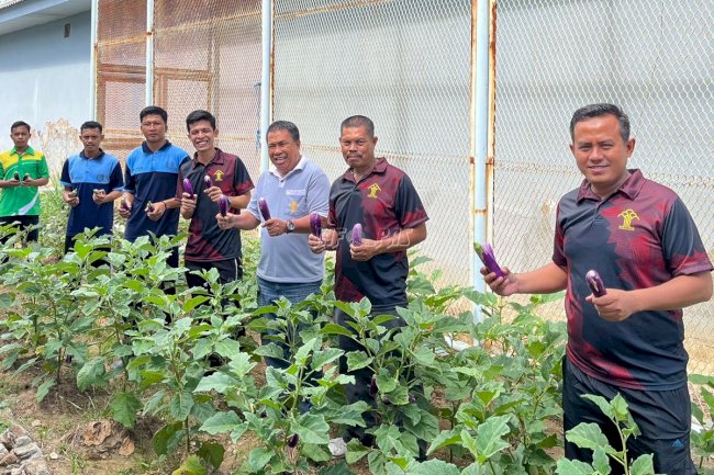 Laksanakan Program Ketahanan Pangan, Rutan Sinjai Fokus pada Budidaya Pertanian dan Peternakan
