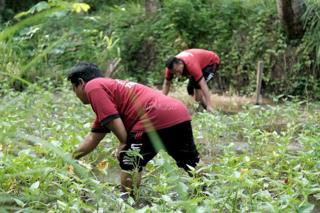 Wujudkan Ketahanan Pangan Nasional, Lapas Tabanan Optimalkan SAE