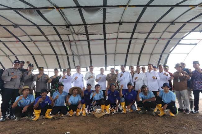 Ditjenpas Dukung Ketahanan Pangan Nasional Lewat Program Brigade Pangan di Tanah Laut