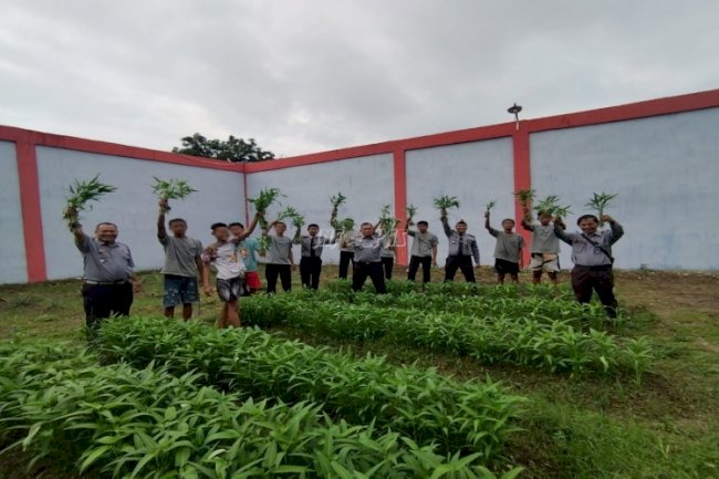 Anak Binaan LPKA Medan Sukses Budidayakan Kangkung Darat dengan Eco-School