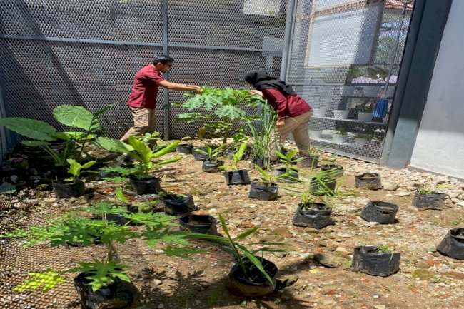 Tim Medis Rutan Bengkulu Manfaatkan Lahan Klinik Pratama sebagai Apotek Hidup
