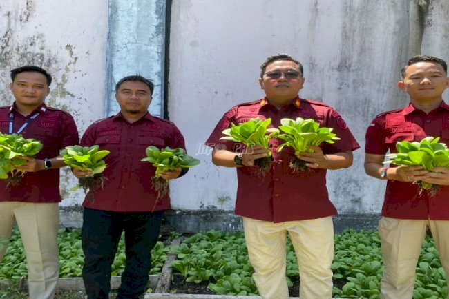 Perdana, Rutan Bengkulu Panen Pakcoy Hasil Budidaya Ketahanan Pangan