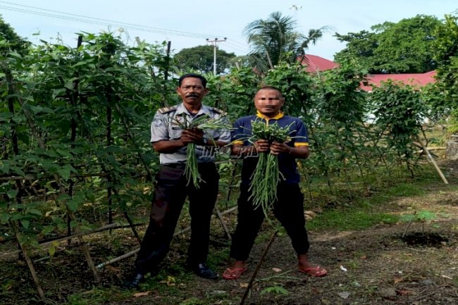 Lapas Bandanaira Panen Perdana Kacang Panjang