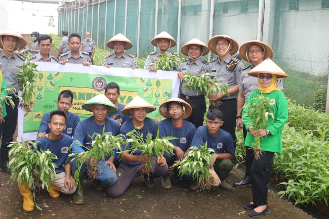 Lapas Cipinang Panen Kangkung Lewat Program Urban Farming