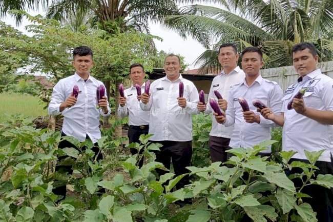 Dukung Ketahanan Pangan, Lapas Labuhan Bilik Kembali Panen 10 Kg Terong