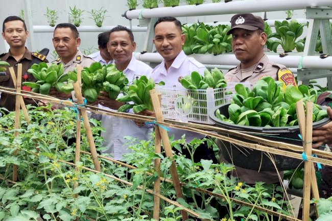 Panen Hidroponik, Lapas Wahai Hadirkan Forkopimcam