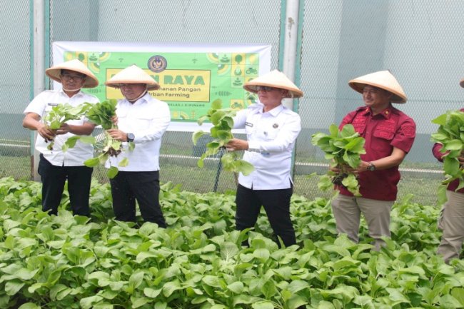  Urban Farming di Lapas Cipinang Tuai Apresiasi Tenaga Ahli Menteri Imipas