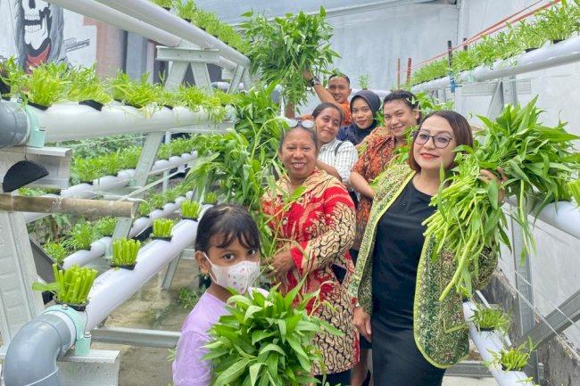 Lapas Wahai Kembali Panen Hidroponik