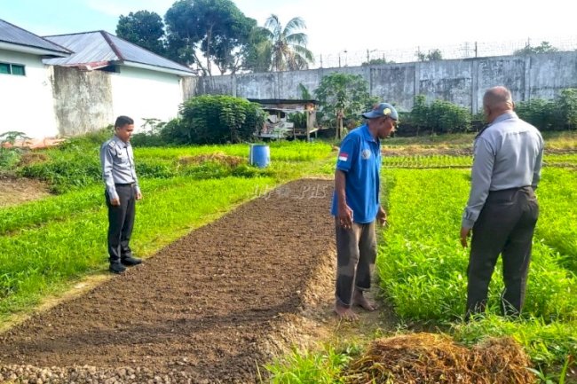 Lapas Ambon Giatkan Program Pertanian dengan Cara Hidroponik dan Konvensional