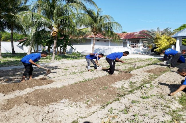 Usai Panen, Lapas Namlea Kembali Budidayakan Sawi Putih