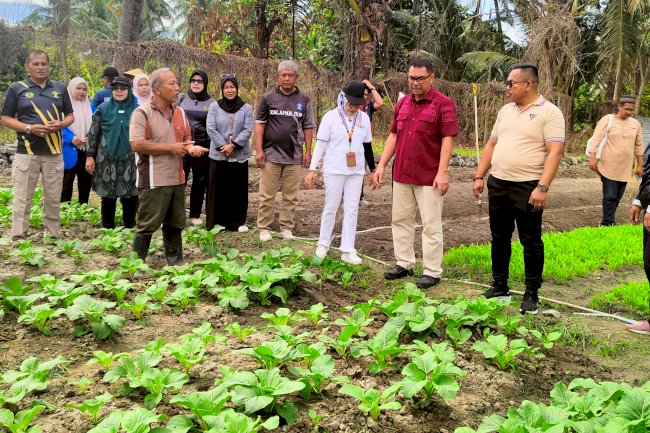 Kanwil Ditjenpas Sulteng dan BSIP Hijaukan SAE Lapas Palu dengan Rumput Jepang dan Odot