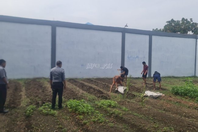 Inovasi Pertanian, LPKA Medan Bekali Anak Binaan dengan Kemampuan Agrosociopreneur