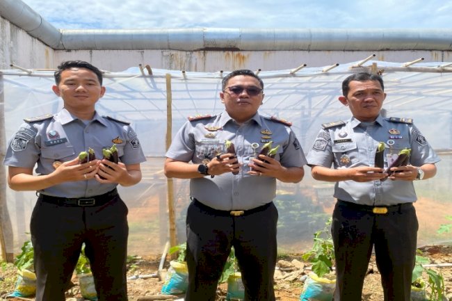 Rutan Bengkulu Panen Terong Panjang, Dukung Ketahanan Pangan dan Pembinaan Warga Binaan
