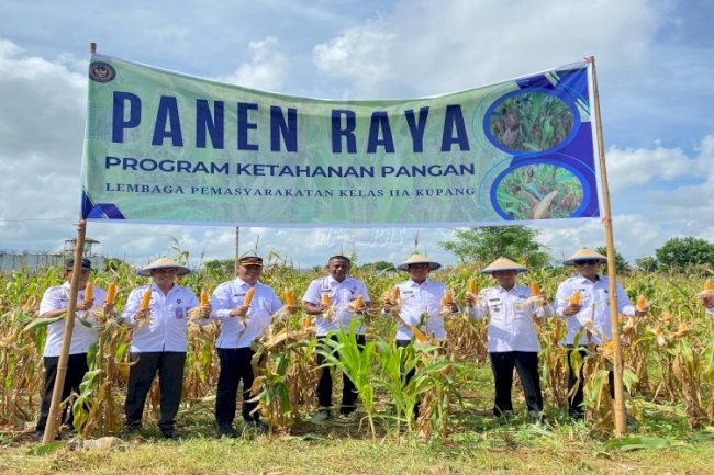 Kakanwil Ditjenpas NTT Pimpin Panen Raya Jagung di Lapas Kupang