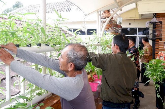 Dukung Ketahanan Pangan, Bapas Jakpus Panen Kangkung Hasil Budidaya Klien Pemasyarakatan