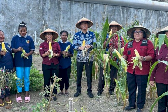 Kanwil Ditjenpas Papua Barat Panen Jagung di Lapas Perempuan Manokwari