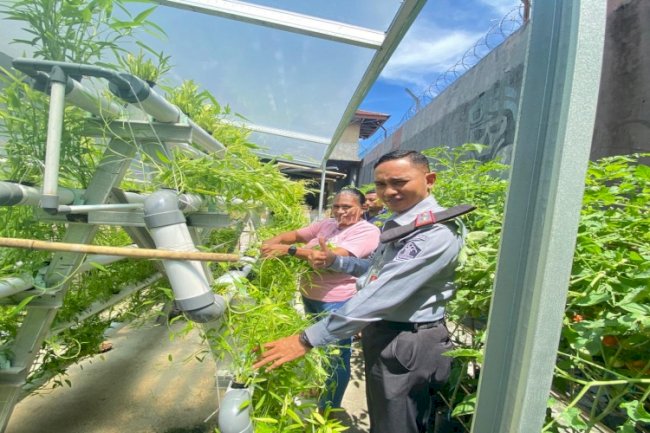 Lapas Wahai Panen Hidroponik dan Tomat Apel, Libatkan Keluarga Purnabakti