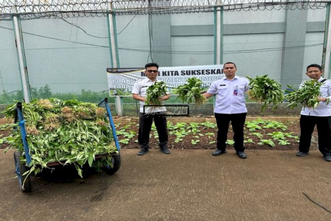 Lapas Cipinang Kembali Panen, Program 'Napi Berkebun' Cetak Warga Binaan Mandiri