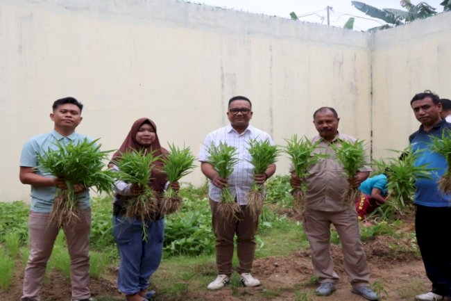 Panen Hasil Pertanian, LPKA Ambon Dukung Ketahanan Pangan