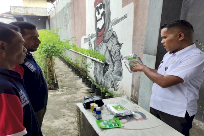 Pascapanen Pekan Lalu, Lapas Wahai Siapkan Saprodi Dukung Ketahanan Pangan Berkelanjutan