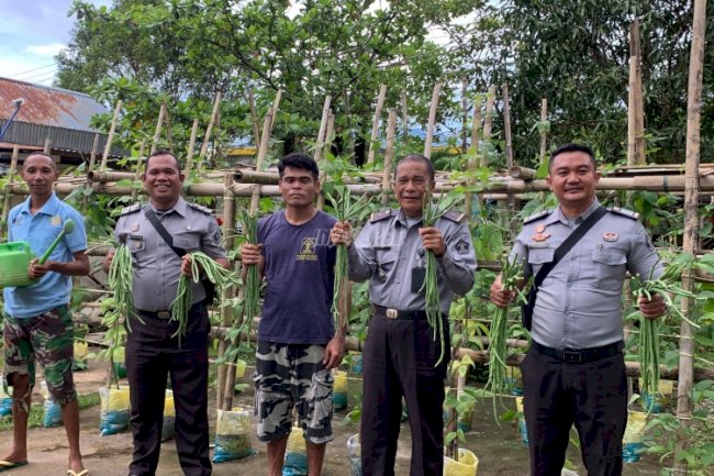 Dukung Ketahanan Pangan, Lapas Tahuna Panen Kacang Panjang