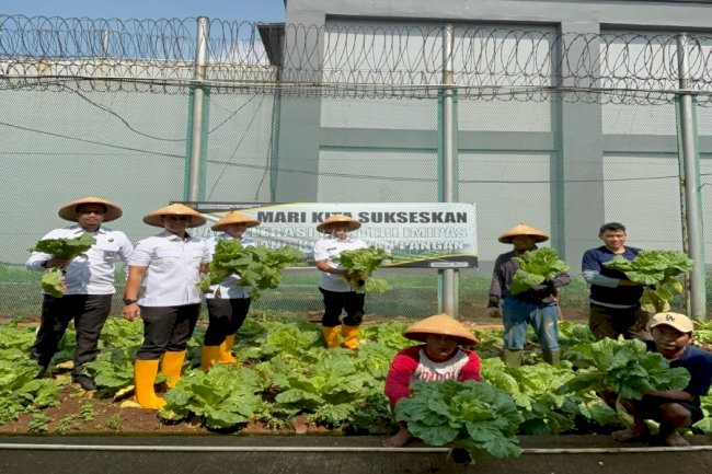 Dukung Ketahanan Pangan Nasional, Lapas Cipinang Panen Berbagai Sayuran