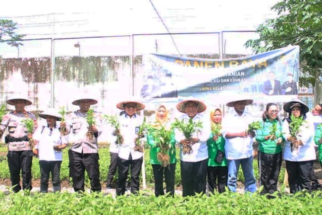 Kakanwil Ditjenpas Maluku Pimpin Panen Raya di Lapas Piru