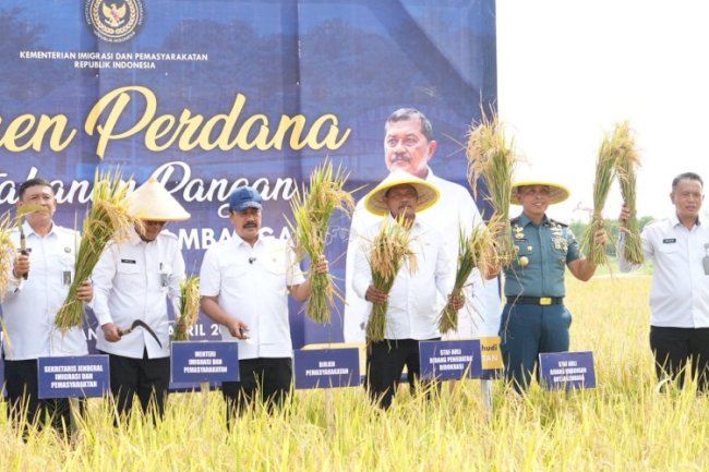 Kemenimipas Panen Perdana Program Ketahanan Pangan di Nusakambangan