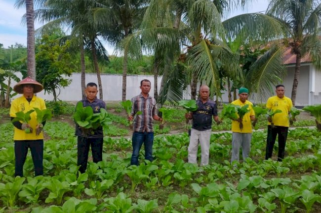 Jelang HBP Ke-61, Lapas Namlea Kembali Panen Sawi