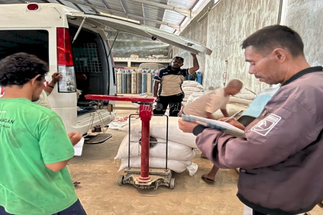 3.425 Kg Jagung Hibrida Hasil Keringat Warga Binaan Lapas Atambua Sold Out di Pasaran