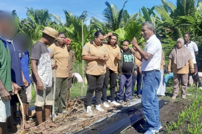 Warga Binaan Asimilasi Lapas Kalabahi Belajar Budidaya Semangka bersama Dinas Pertanian Kab. Alor