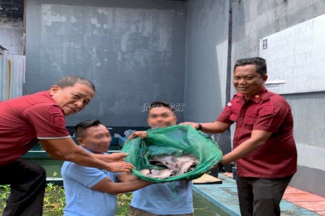 Panen Ikan Nila, Wujud Nyata Lapas Tahuna Dukung Swasembada Pangan Nasional