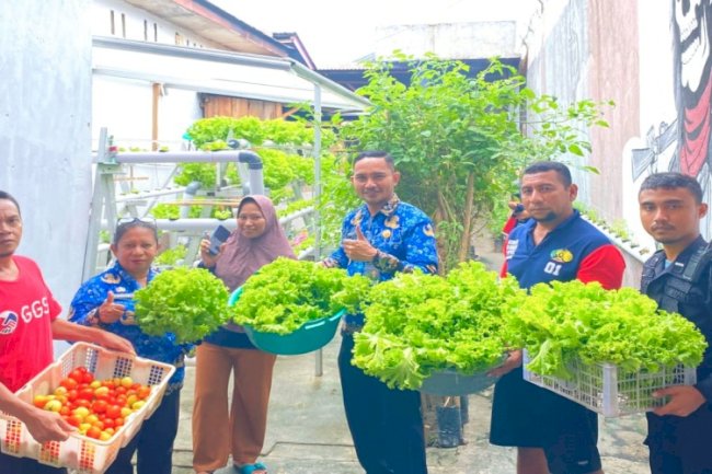 Lapas Wahai Panen Sayur Selada, Sita Perhatian Masyarakat Sekitar