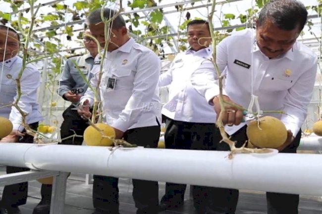 Dirjenpas Panen 800 Kg Melon Hasil Pemanfaatan Teknologi Smart Farming Warga Binaan Lapas Sukamiskin