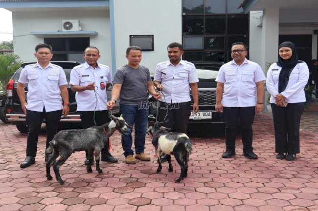 Jelang Iduladha, LPKA Ambon Terima Hewan Kurban dari Pemkot Ambon 